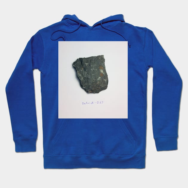Flat Fossil Rock Sample Detrick 027 Hoodie by AtlanticFossils